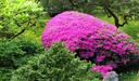 Color amongst the green.